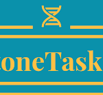 StoneTaskin